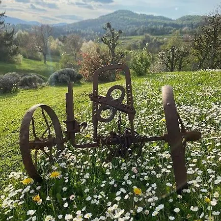 Spacious In Nature With Sauna! Postojna