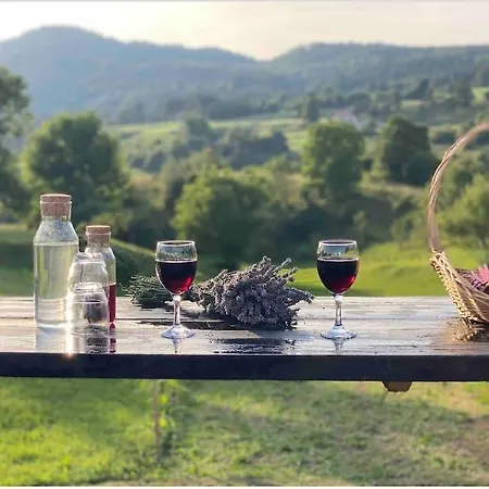 Spacious In Nature With Sauna!