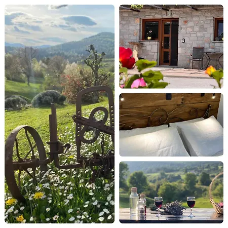 Spacious In Nature With Sauna! Appartement *