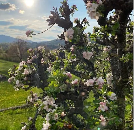 Spacious In Nature With Sauna! Apartment