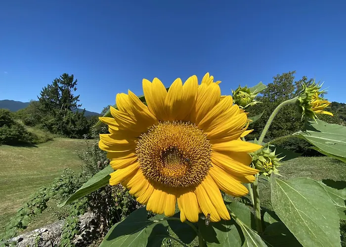 Spacious In Nature With Sauna! *