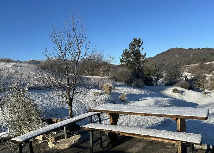 Spacious In Nature With Sauna! Apartment Postojna